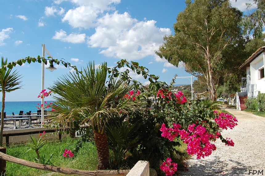 Calabria - scogliera di Copanello e grotte di San Gregorio